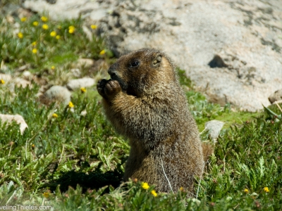 colorado-rocky-mountains-4
