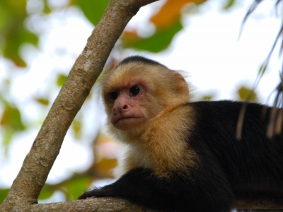 costa-rica-10