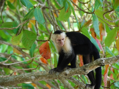 costa-rica-9