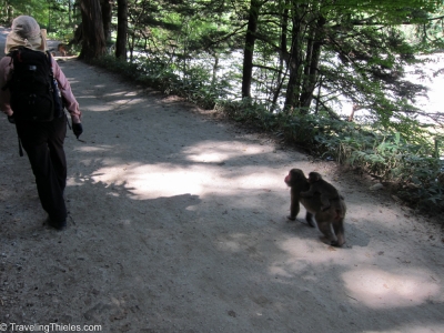 2011-kamikochi-alps-10