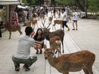 2011-kyoto-nara-24