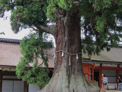 2011-kyoto-nara-28