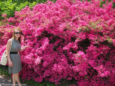 2011-asheville-3