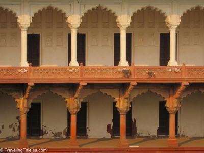 2011-agra-13