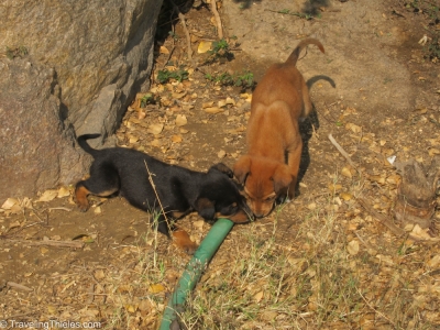 2011-delhi-4