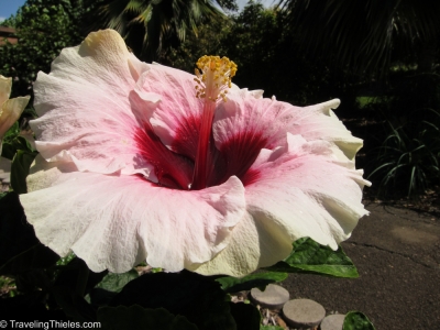 2012-hawaii-11