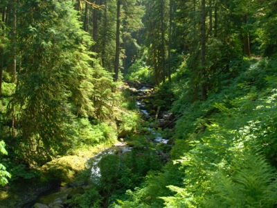 2012-seattle-and-portland-36