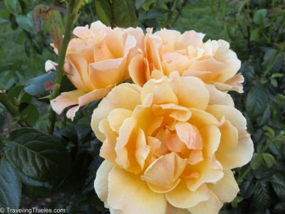 2012-seattle-and-portland-22