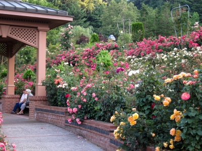 2012-seattle-and-portland-25
