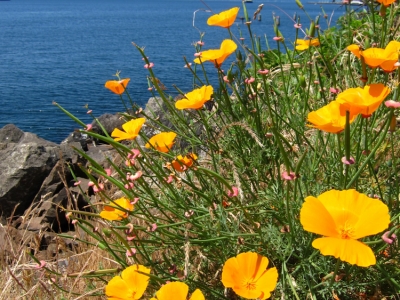2012-seattle-and-portland-4
