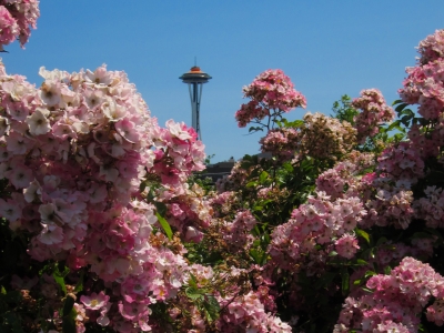 2012-seattle-and-portland-6