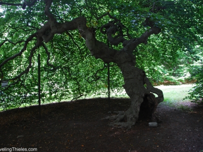 2013-new-england-39