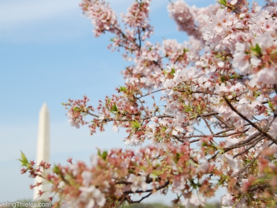 2014-washington-dc-10