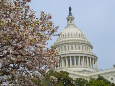 2014-washington-dc-5