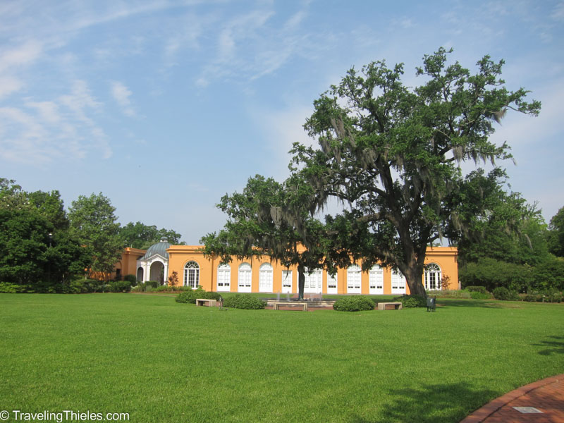 City botanical garden - beautiful spanish oaks