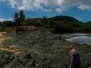 2015 Puerto Rico - Vieques