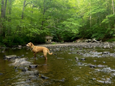 eastcoast-8