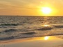 2016 NOLA and Sarasota