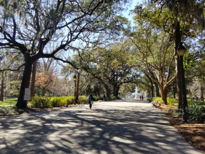 Savannah-15
