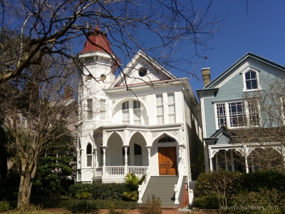 Savannah-19