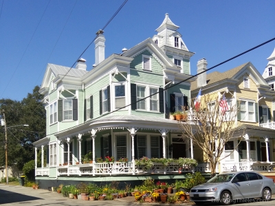 Savannah-20