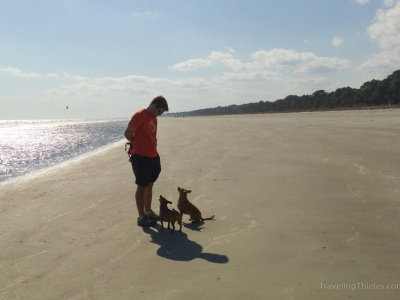 Savannah-26