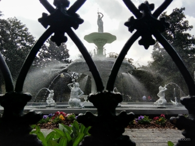 Savannah-8