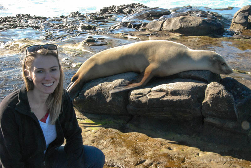 Snuggly seals