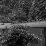 Vietnam – Worst Train Ride Ever – January 2011